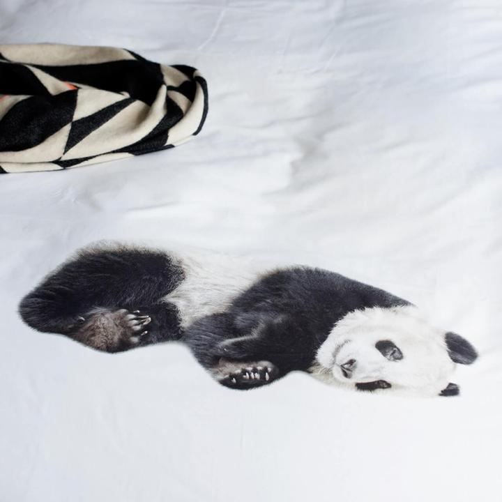 Produktbild Snurk Panda
