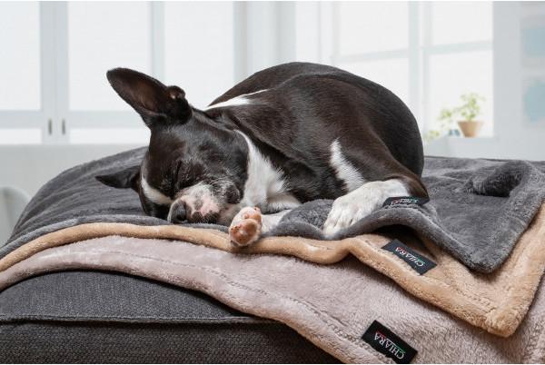 Immagine prodotto Chiara Morbida coperta in pile (Cane)