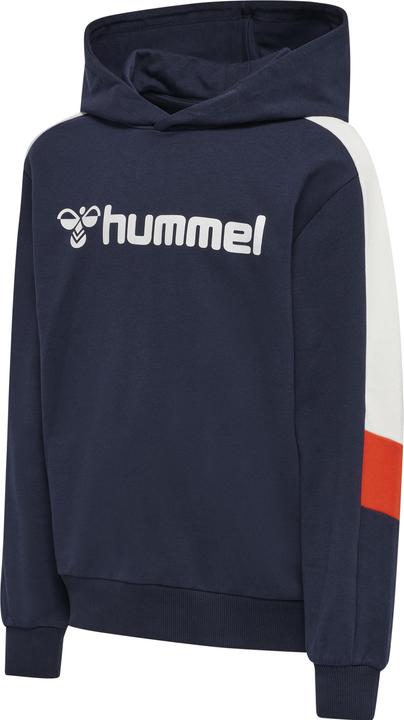 hummel Bugge Hoodie