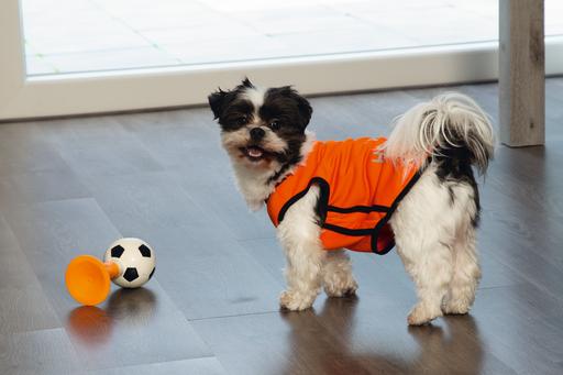 Actual product image Beeztees Bz Holland Air Horn HD Game 2 (Dog chew toy)