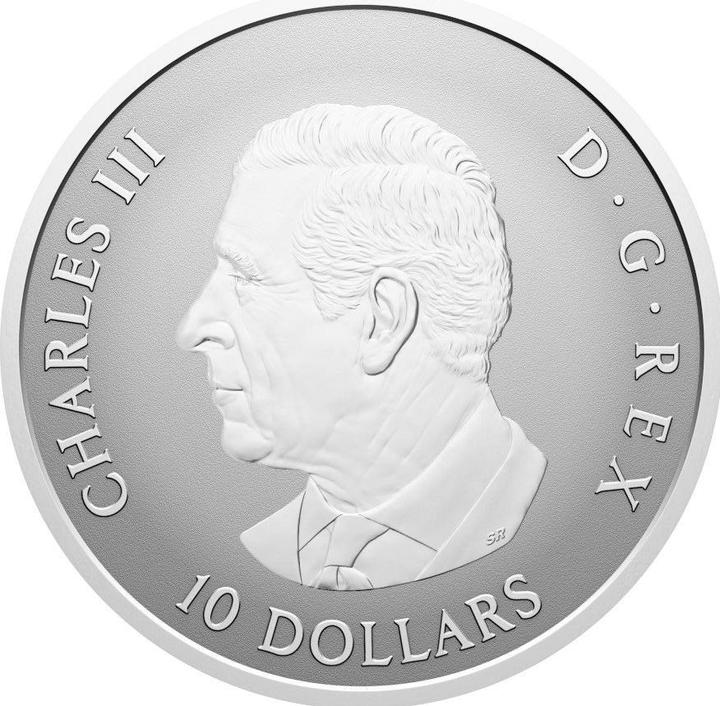 Actual product image Royal Canadian Mint Silber Gleaming Maple Leaf 1/2 oz RP - 2025 (999.90, 2025)
