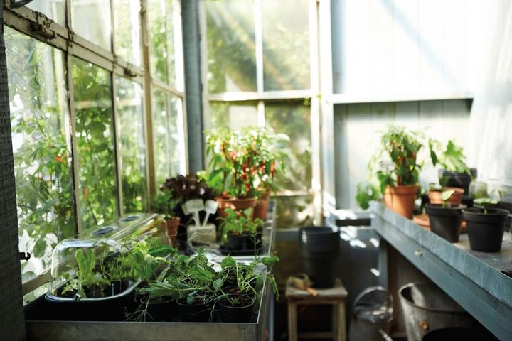Immagine prodotto Elho Set di vasi di propagazione Greenbasics