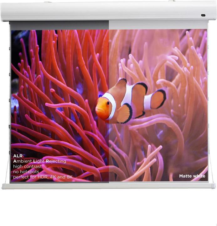 Produktbild Celexon HomeCinema Dynamic Slate ALR (120", 16:9)