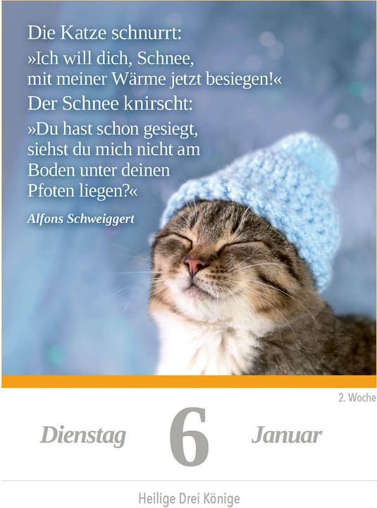 Produktbild Eine Katze für jeden Tag 2026 - Tagesabreisskalender zum Aufstellen oder Aufhängen (11 x 15 cm, Deutsch)