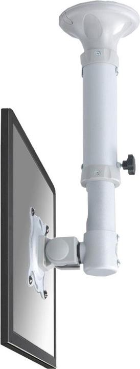 Immagine prodotto Neomounts NewStar - FPMA-C025 SILVER - Supporto a soffitto (Soffitto, 30")