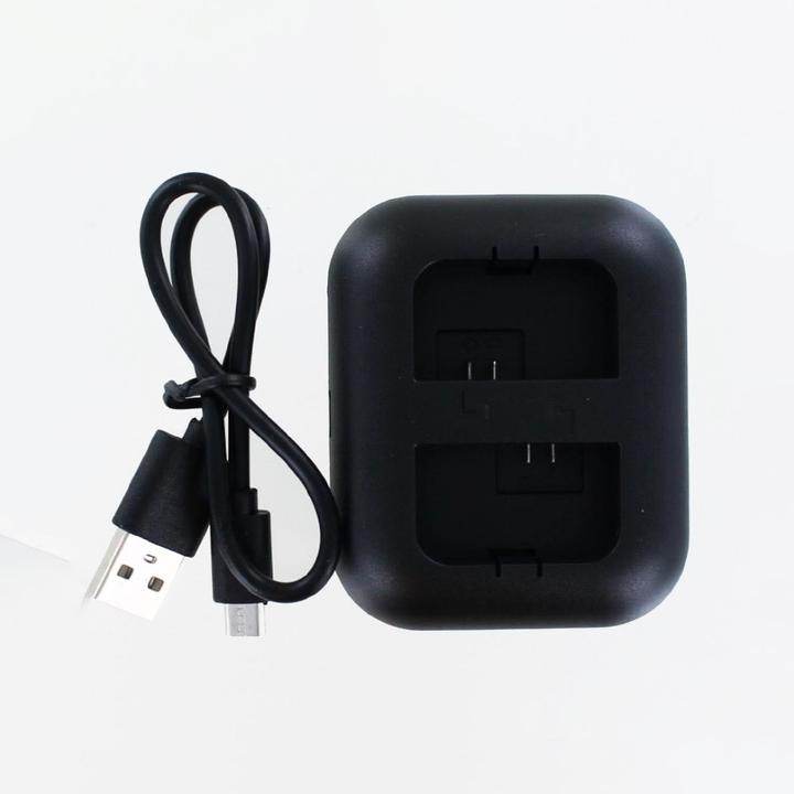 Actual product image AGI Dual USB charger compatible with Sony Alpha 6000 (Camera battery charger)