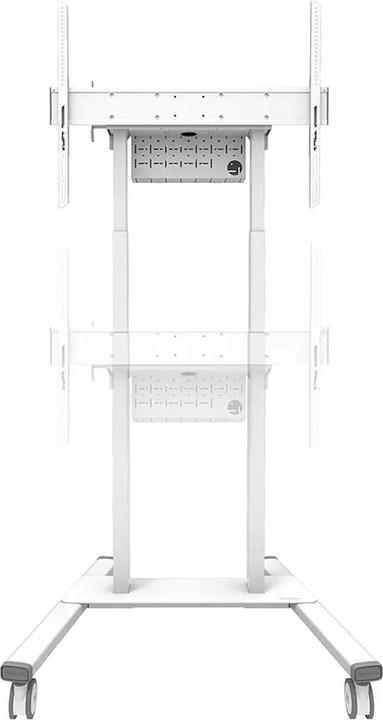 Produktbild Neomounts FL55-875WH1 (Universal, 100", 110 kg)