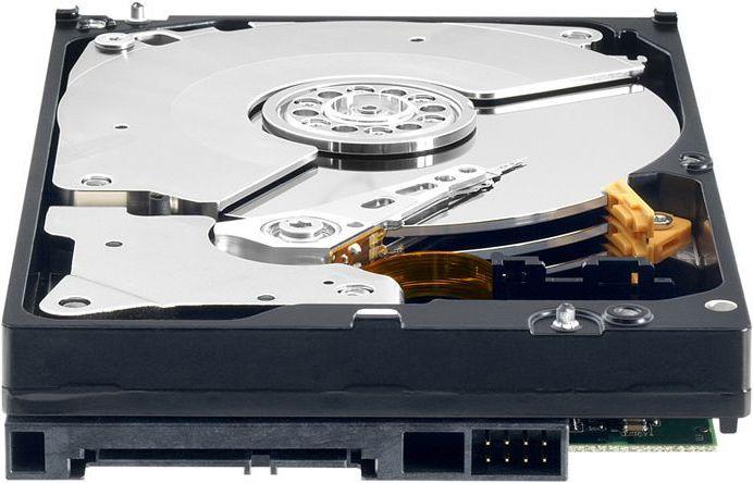 Actual product image WD BLACK WD6004FZWX (6 TB, 3.5", CMR)