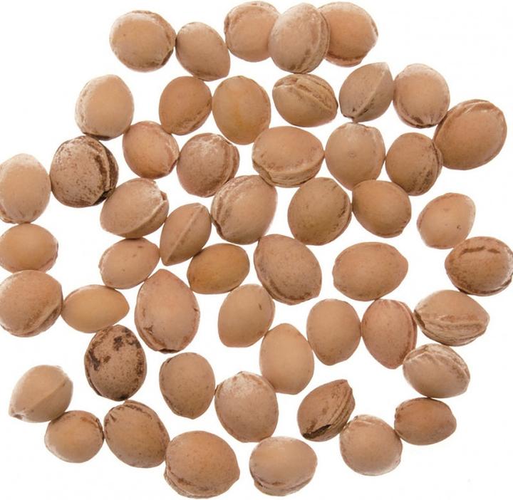 Actual product image Glorex Cherry pits 500 g