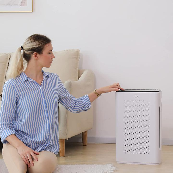 Produktbild Airthereal APH260 HEPA