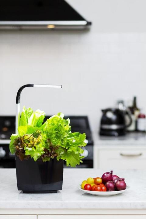 Image du produit Tregren Pot à herbes T3 (19.50 cm)