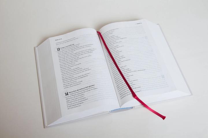 Actual product image Volxbibel - next level (German, Martin Dreyer, 2023)
