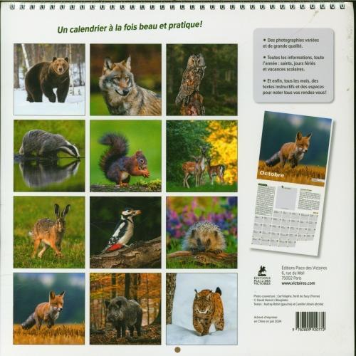 Image du produit Animaux de nos forêts : calendrier 2025 (Couverture rigide, Français)