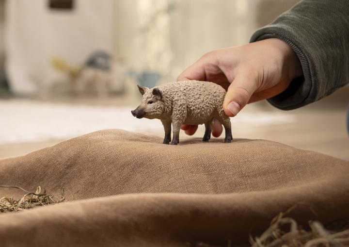 Image du produit Schleich Porc laineux