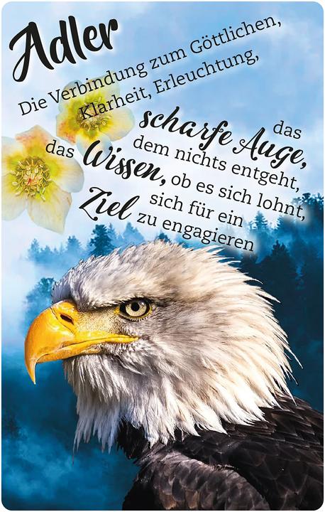 Produktbild Krafttier-Orakelkarten (Deutsch, Eva Katharina Junge, 2021)