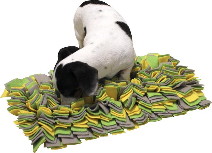 Actual product image Kerbl Schnüffelteppich (Intelligence toy dog)
