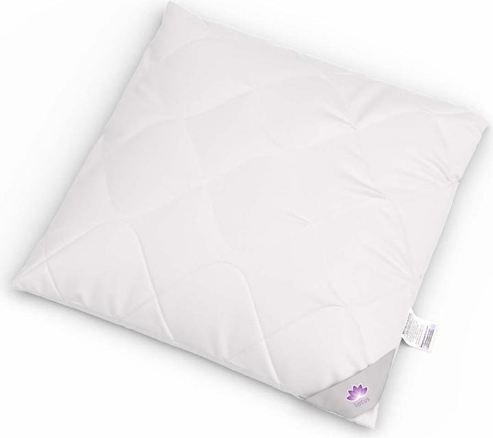 Immagine prodotto Lotus Bettwaren Cuscino in microfibra (65 x 65 cm)
