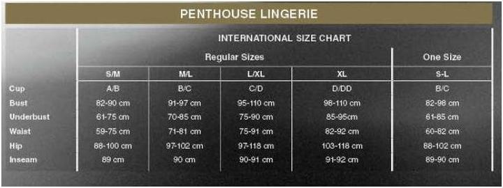 Image du produit Penthouse Lingerie Too Hot To Be Real Thong Rouge S/M (S, M)