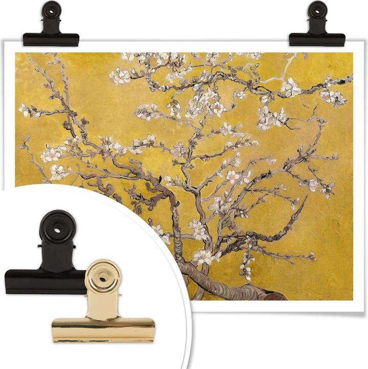 Image du produit Trenddeko van Gogh - Ocre de fleur d'amandier (60 x 50 cm)