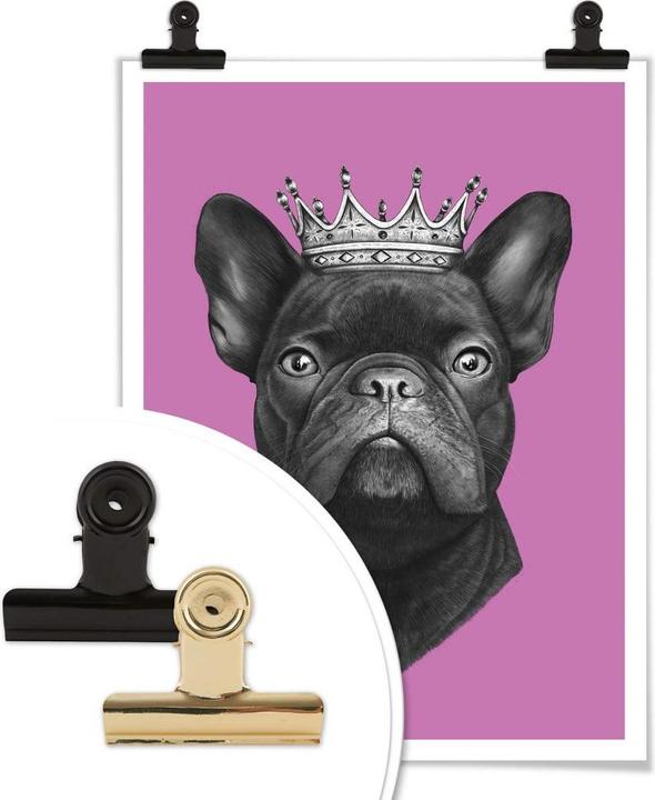 Image du produit Trenddeko King French Bulldog rose (100 x 120 cm)