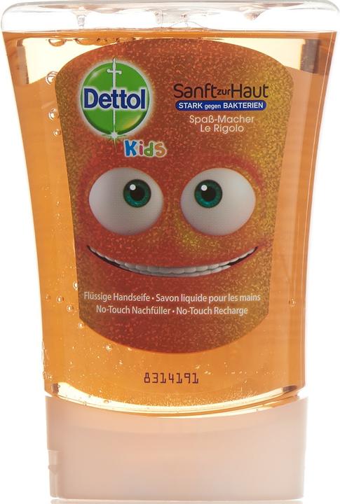 Actual product image Dettol Jester (refill, 250 ml)