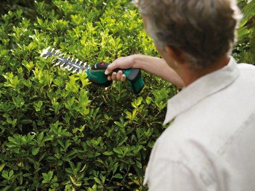 Image du produit Bosch Home & Garden ASB 10.8 LI Set (Taille-haies sans fil)
