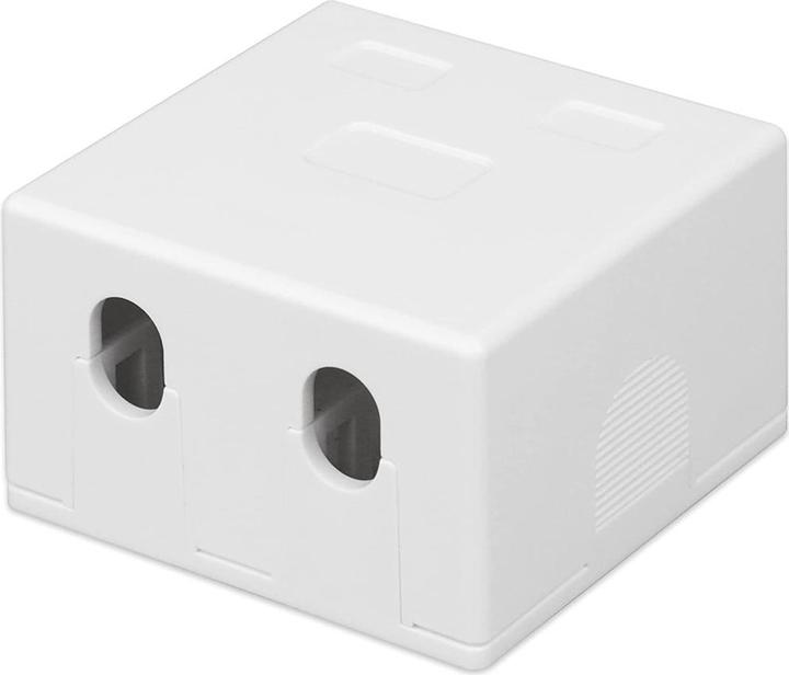 Immagine prodotto Techly Presa a Muro per 2 Frutti Keystone Bianco