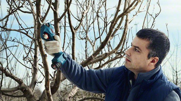 Immagine prodotto Bosch Professional Pro Pruner