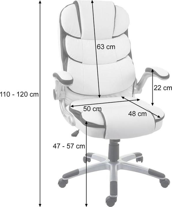 Actual product image Swisshandel24 Chefsessel