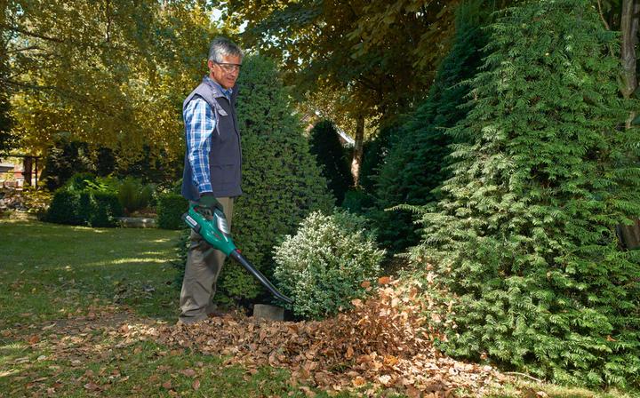 Immagine prodotto Bosch Home & Garden ALB 36 LI (versione UE) (Batteria ricaricabile)