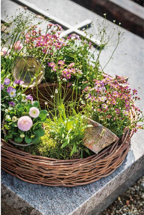 Actual product image Opiflor Pflanzentopf (16.50 cm)
