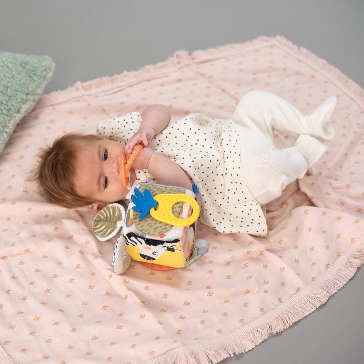 Immagine prodotto Taf Toys Cubo di attività Savannah