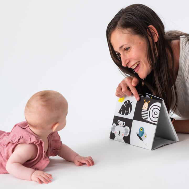 Immagine prodotto Taf Toys Koala (Tedesco, Francese, Italiano, Inglese)