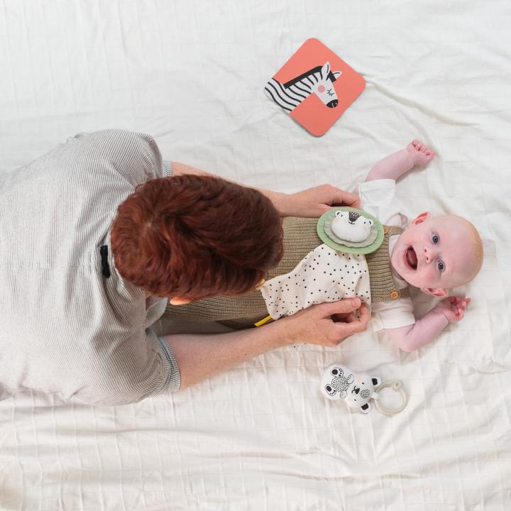 Actual product image Taf Toys Play set for newborns
