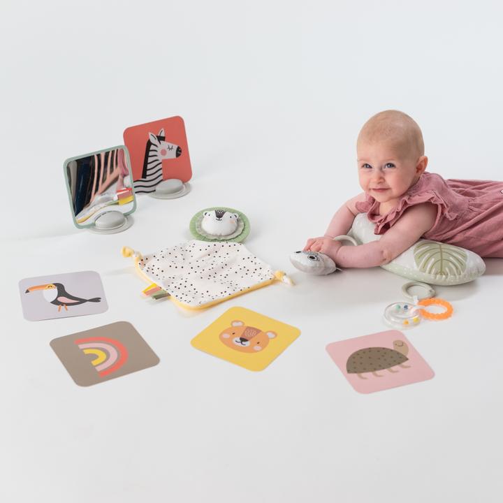 Actual product image Taf Toys Play set for newborns