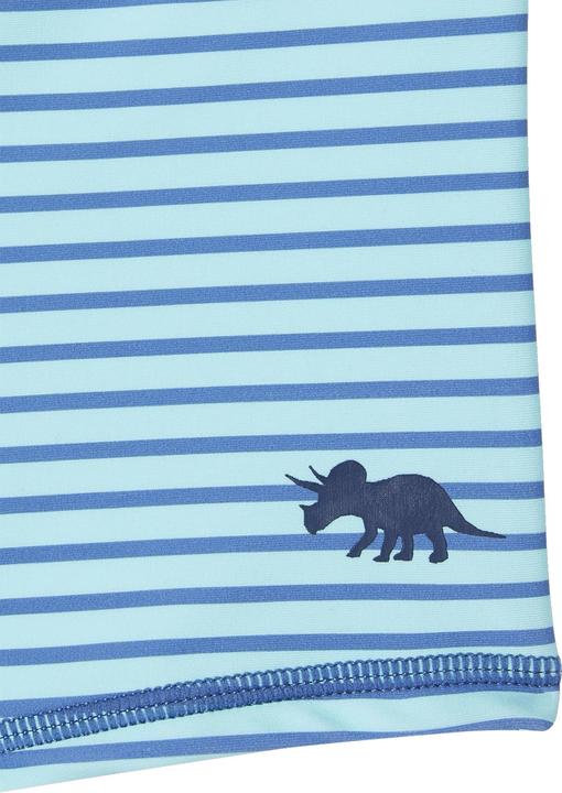 Produktbild Vertbaudet 2er-Pack Jungen Boardshorts mit Dinos (110)