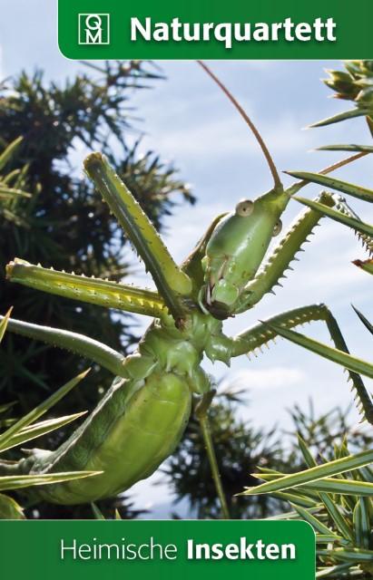 Produktbild Heimische Insekten (Deutsch)