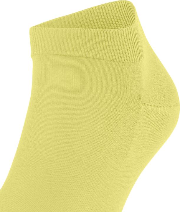 Produktbild Falke ClimaWool Herren (43 - 44)