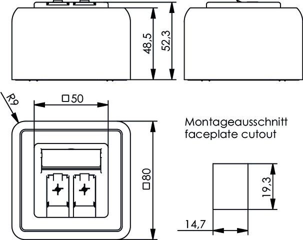 Image du produit Telegärtner Support de module AP 80x80 double blanc alpin