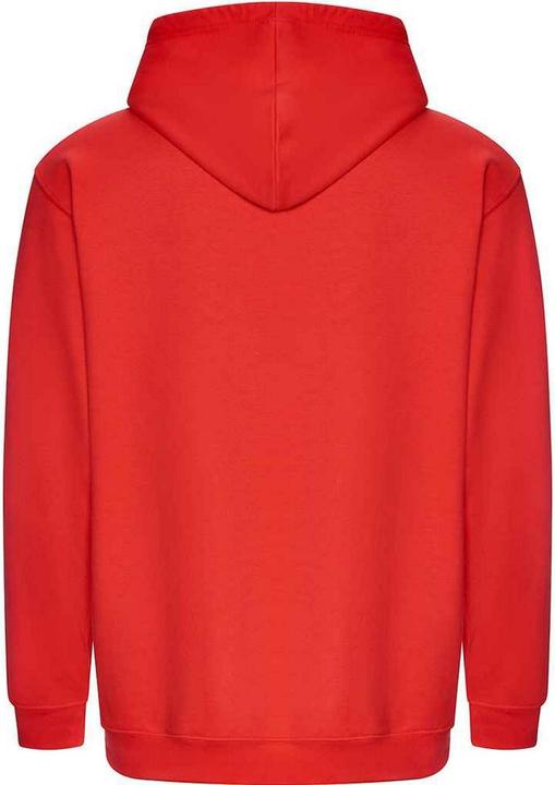 Image du produit Awdis - Sweat à capuche COLLEGE - Adulte (XL)