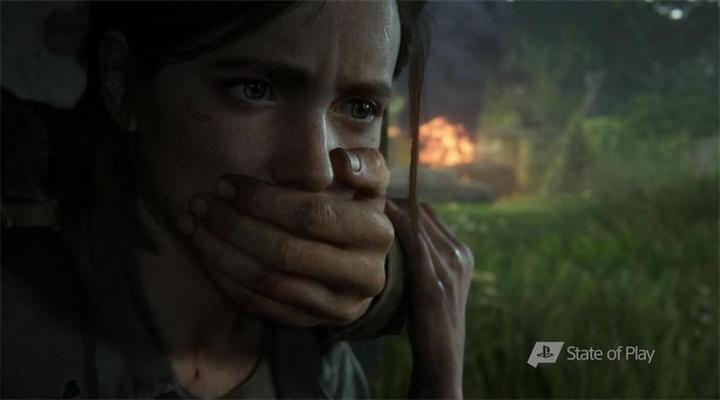 Actual product image Sony The Last of Us Part 2 (PS4, DE)