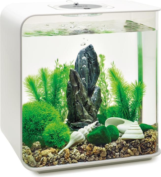 Actual product image Oase biOrb Aquarium 30 Decor Set (Embellishment, other items)