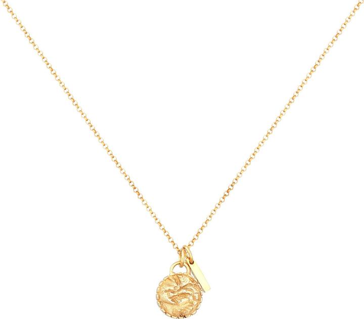 Actual product image Elli Necklace Platelet Vintage Rod Element 925 Silver (925 sterling silver, 45 cm)