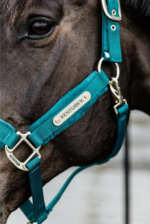 Actual product image Kentucky Horsewear Velvet halter