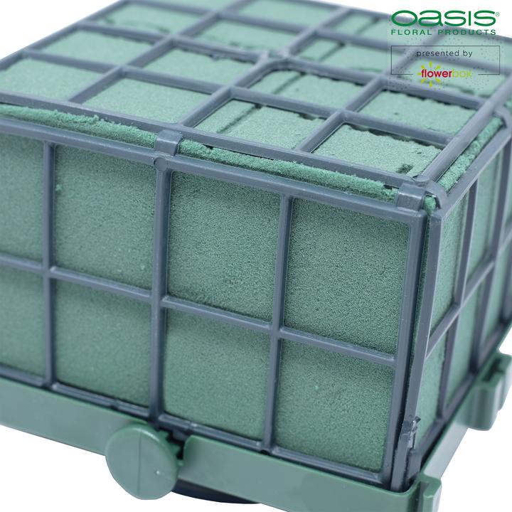 Immagine prodotto Oasis Auto-Corso