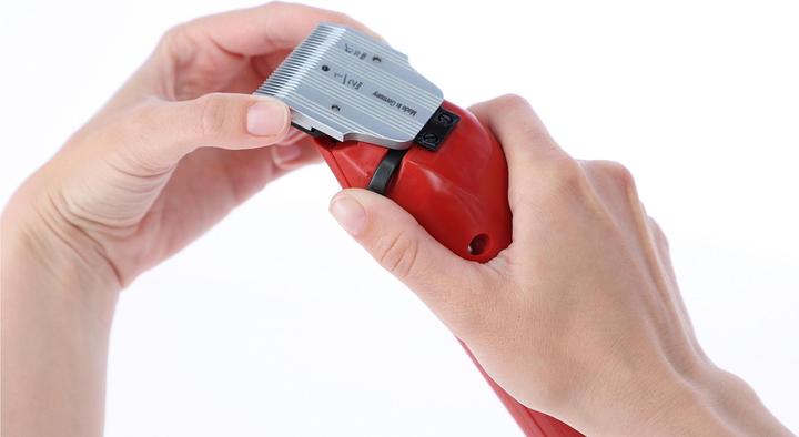 Actual product image Aesculap Fur shears Favorita II, GT104 (Dog)