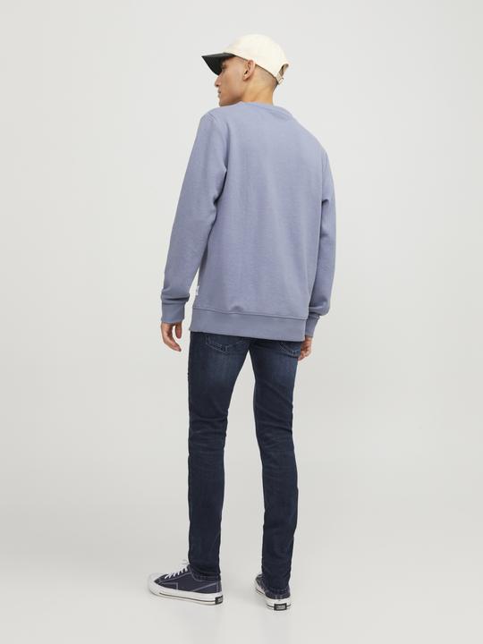 Image du produit Jack & Jones Liam Original AGI 004 Skinny Fit Jeans (W28/L34)
