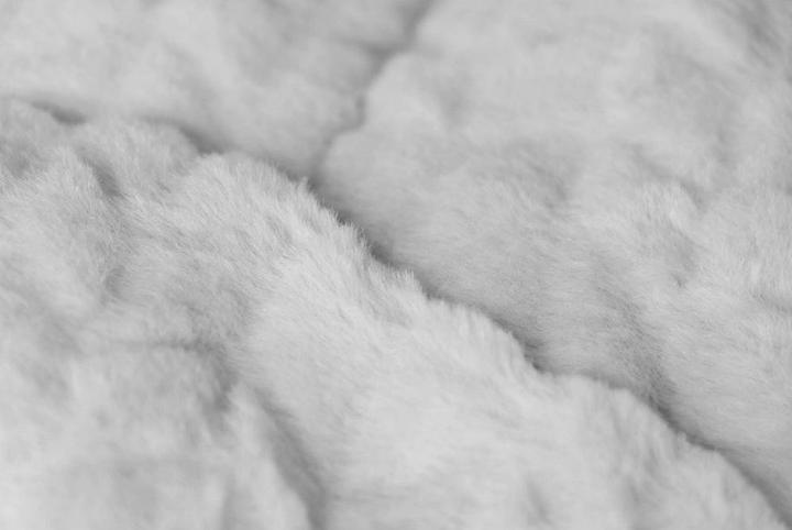 Produktbild Trend Pet Hunde-Decke Heaven, Grau, Gr.L (Hund)