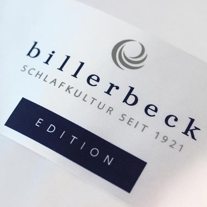 Produktbild Billerbeck Daunendecke E23 Inga Kassette II warm, Füllung: 90% Daunen, 10% Federn (1140 g, 200 x 200 cm)