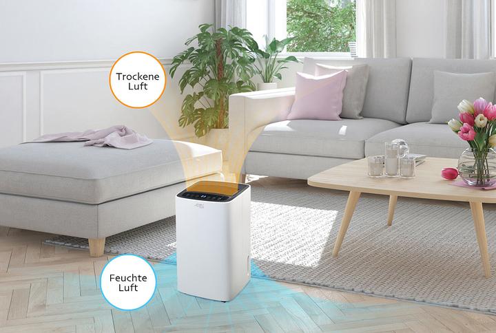 Immagine prodotto Sichler Deumidificatore intelligente Wi-Fi (12 l/24h)